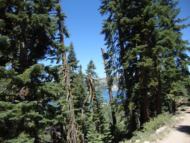Tahoe Rim Trail 2016 054