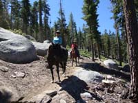 Tahoe Rim Trail 2016 044