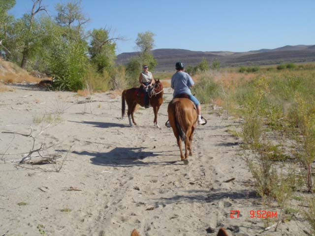 Lahontan Ride 9-27-08 022